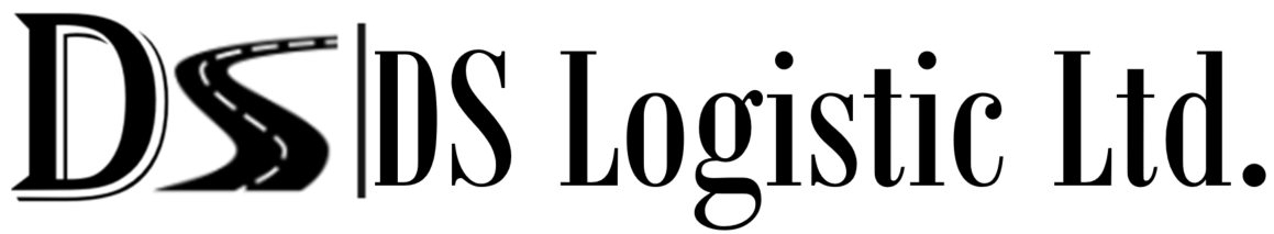 DS Logistic - logo